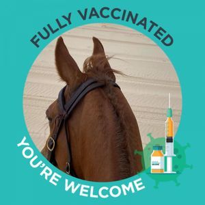 Meet your Posher, Simone